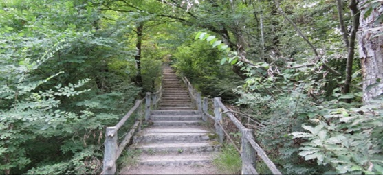 خرید ویلا در شمال