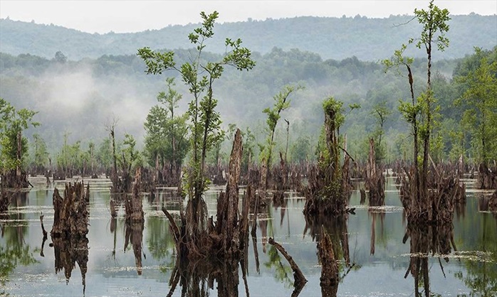 خرید ویلا نزدیک تالاب ارواح نوشهر
