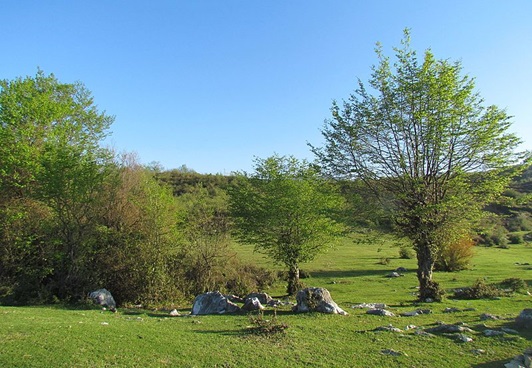 خرید ویلا در کوشک سرا نوشهر