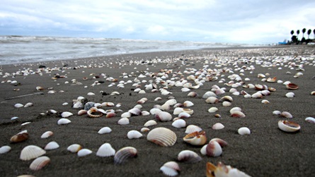 بهترین شهر ویلا ساحلی