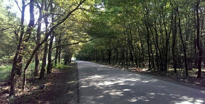 شهرستان محمودآباد