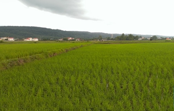 خرید ویلا در خشت سر