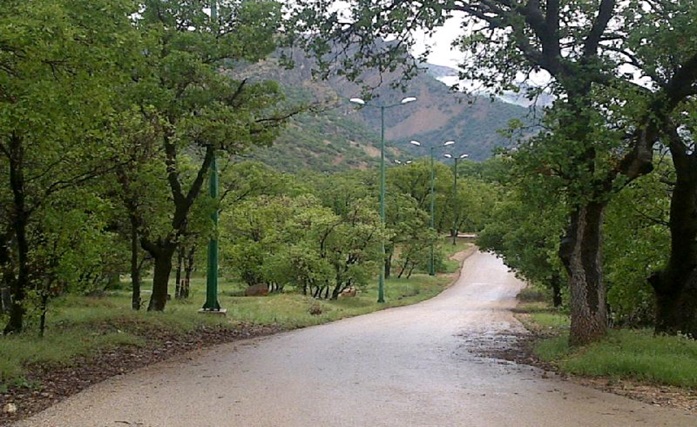 پارک تشبندان محمودآباد