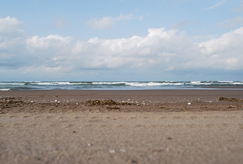 منابع دریای خزر