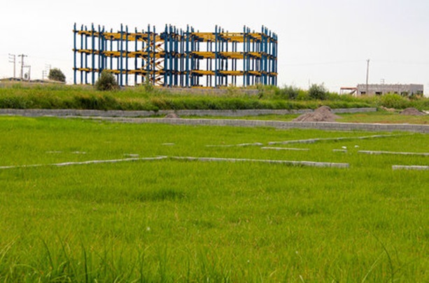 زمین کشاورزی