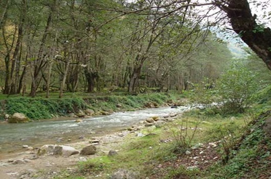 پارک جنگلی چالوس