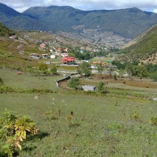 زمین در چمستان