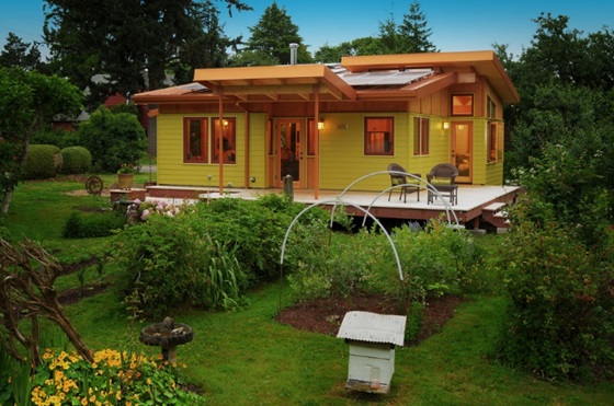 خرید زمین در شمال