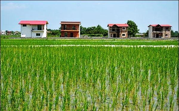 خرید زمین زراعی