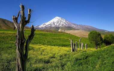 زمین مسکونی جنگلی در شمال