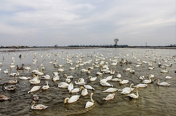 خرید آپارتمان در شمال سرخرود