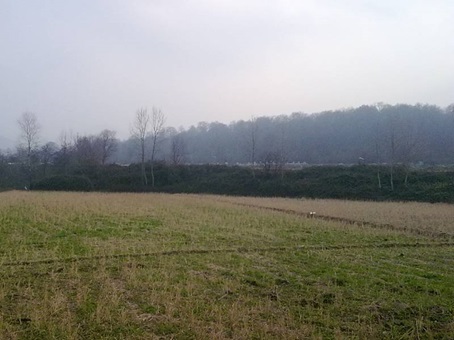 مزایای زمین قواره ای در شمال