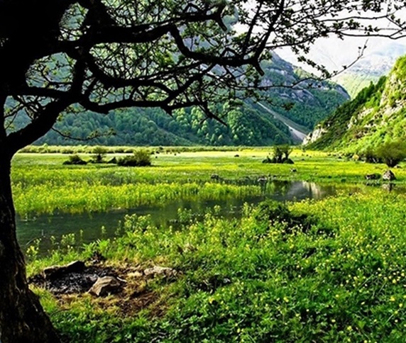 خرید زمین در کلوده