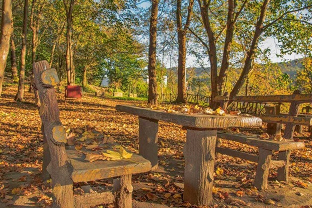 پارک جنگلی مازندران