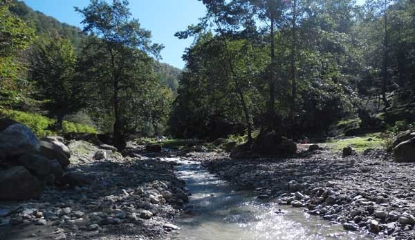 ویلا در شمال