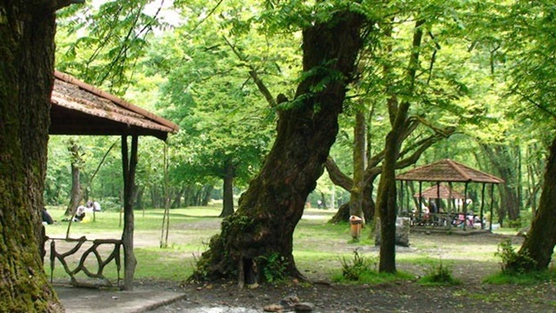 خرید ویلا در شمال