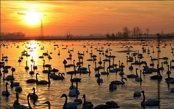 تالاب سرخرود