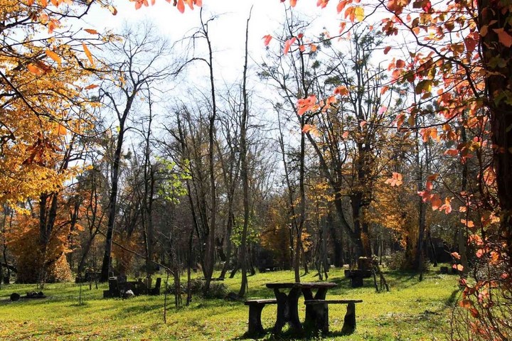 ساحل سیسنگان