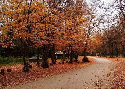 سی سنگان نوشهر