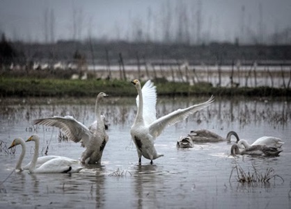 تالاب سرخرود