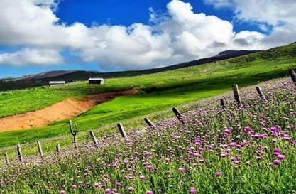 خرید زمین در شمال