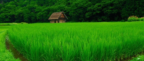 زمین در شمال