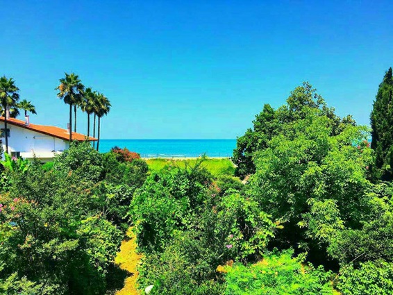 مزیت خرید زمین در شمال