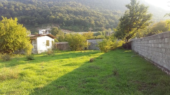 مجوز برای خرید زمین در شمال