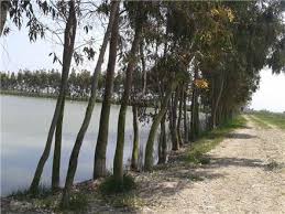 بهنمیر بابلسر