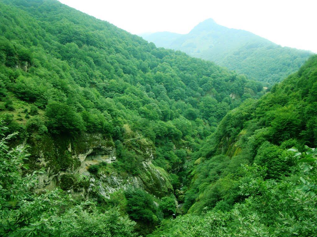 ویلا در نوشهر