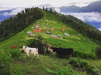 ویلا ارزان در نوشهر