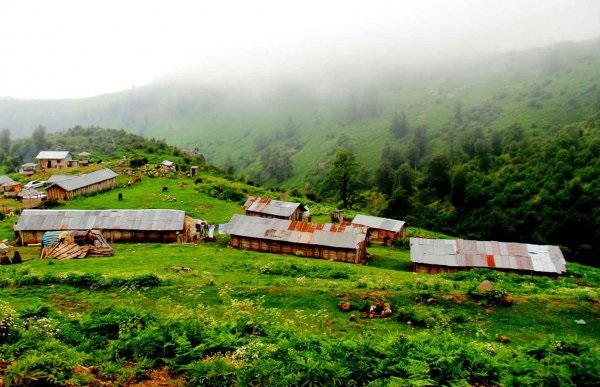 ویلا جنگلی در نوشهر