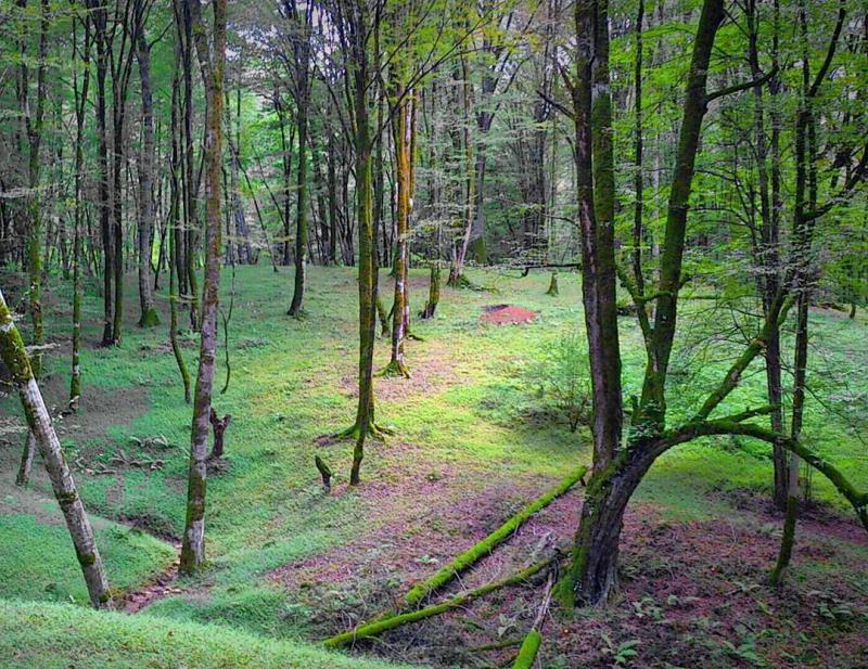 خرید ویلا د رنوشهر