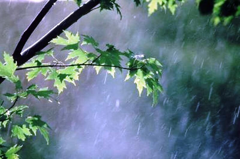 هوای بارانی ویلا در نوشهر