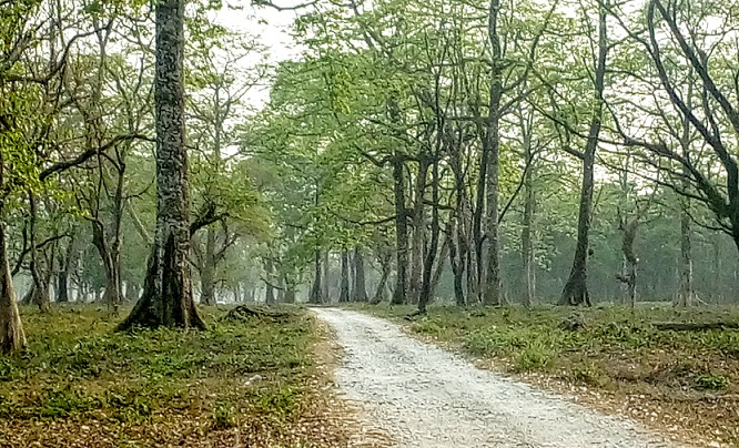 دسترسی به ویلا در نوشهر