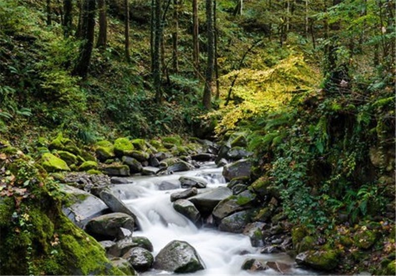 سیسنگان نوشهر