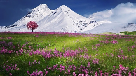 خرید زین در شمال