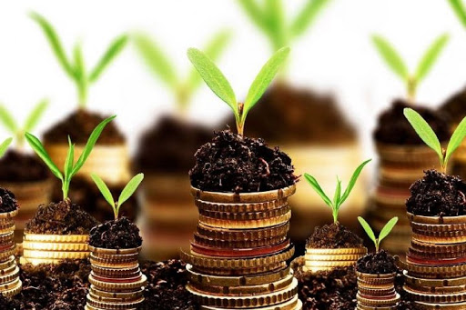 رشد سرمایه با ویلا ساحلی