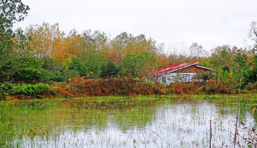 ویلا در نوشهر-ویلا در سکوت