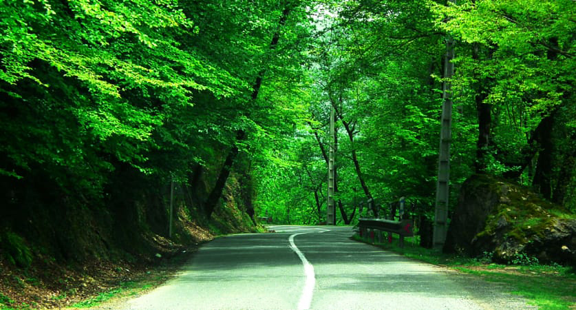 ویلا جنگلی چالوس