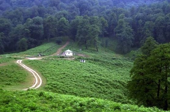 ویلا در جنگل رامسر