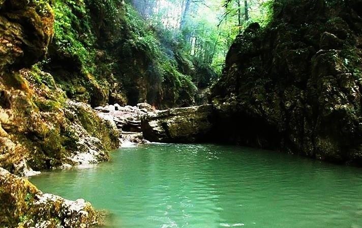 جنگل تنگ دار نوشهر