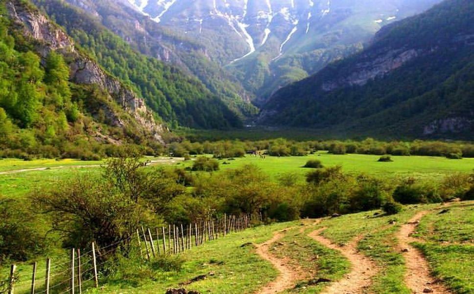 ویلا در جنگل دو هزار