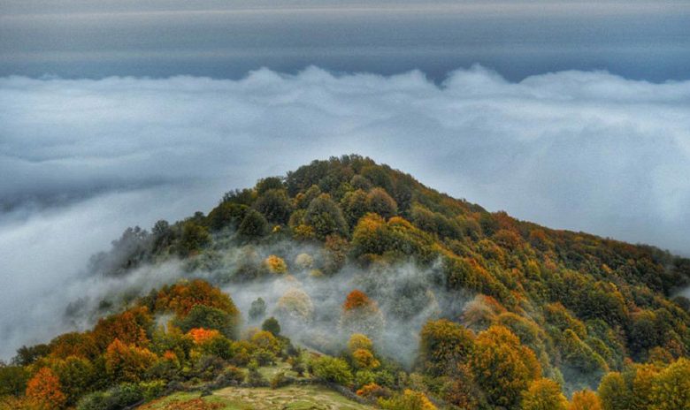 ویلا در جنگل الیمستان