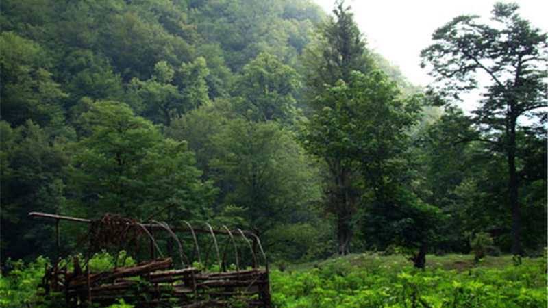 ویلا در جنگل سی سنگان