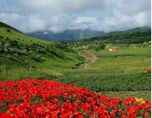 ویلا در سرخرود