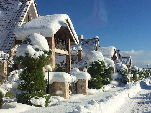 وعایب ویلا جنگلی