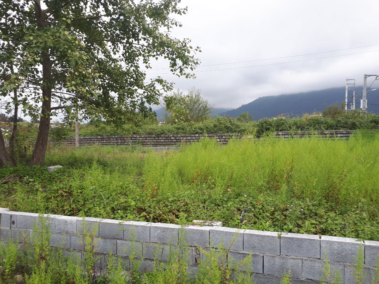 خرید زمین در مازندران