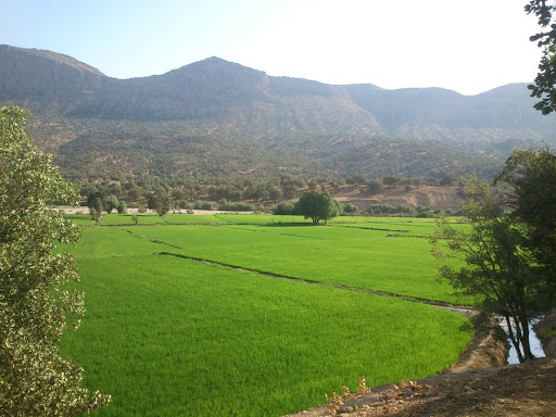 کاربری زمین در شمال