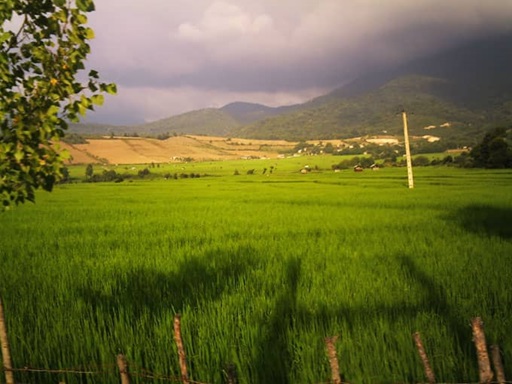 خرید زمین در شمال